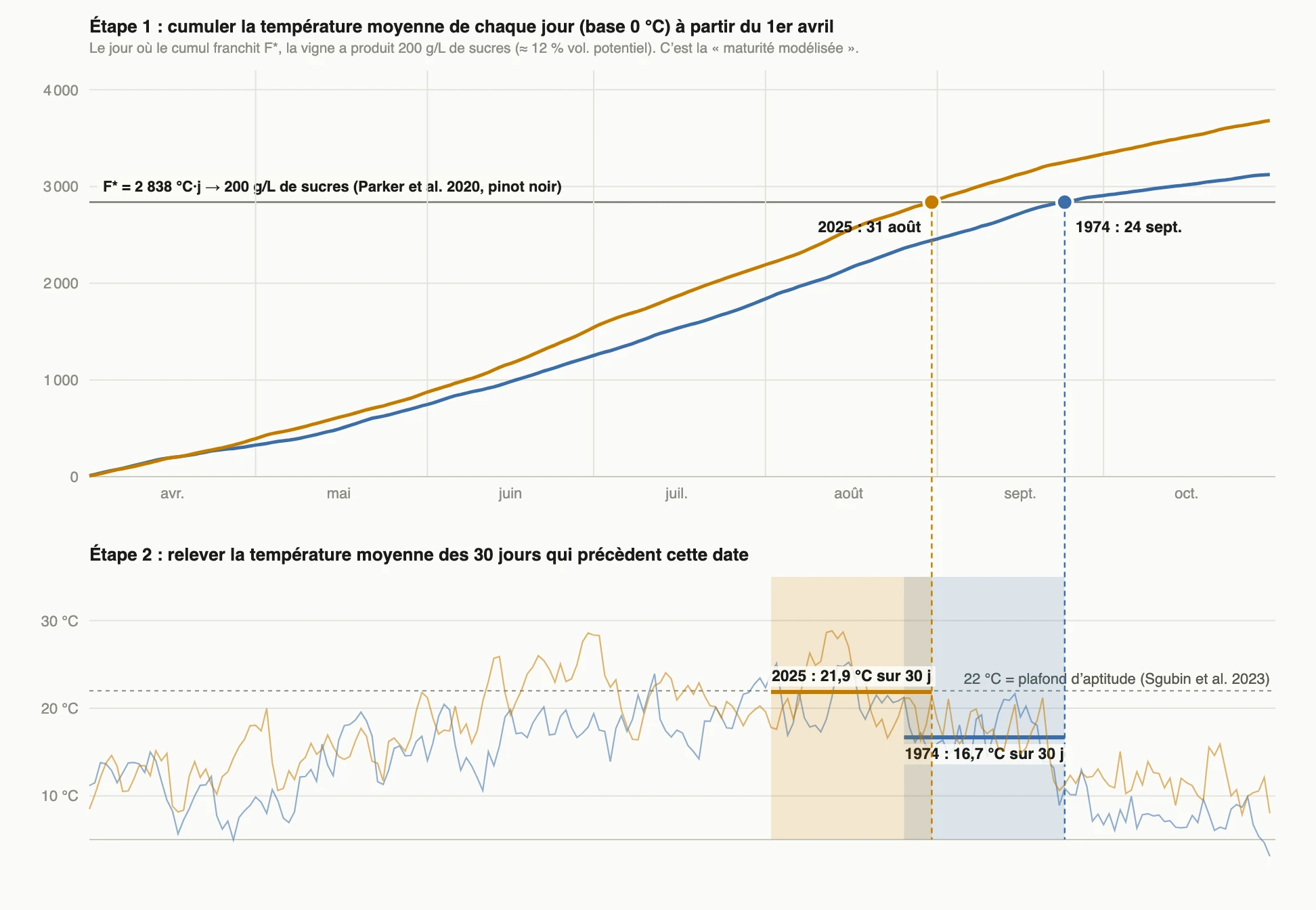 Le modèle de maturité en deux étapes, cumul thermique puis fenêtre de 30 jours, comparé sur 1974 et 2025